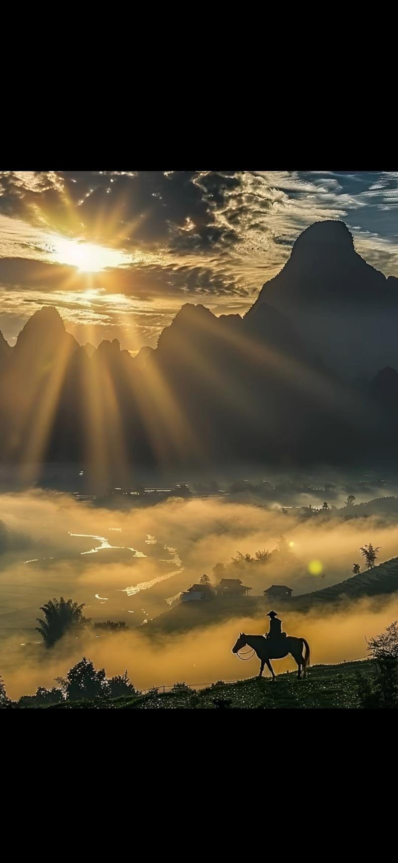泛目录站群排名